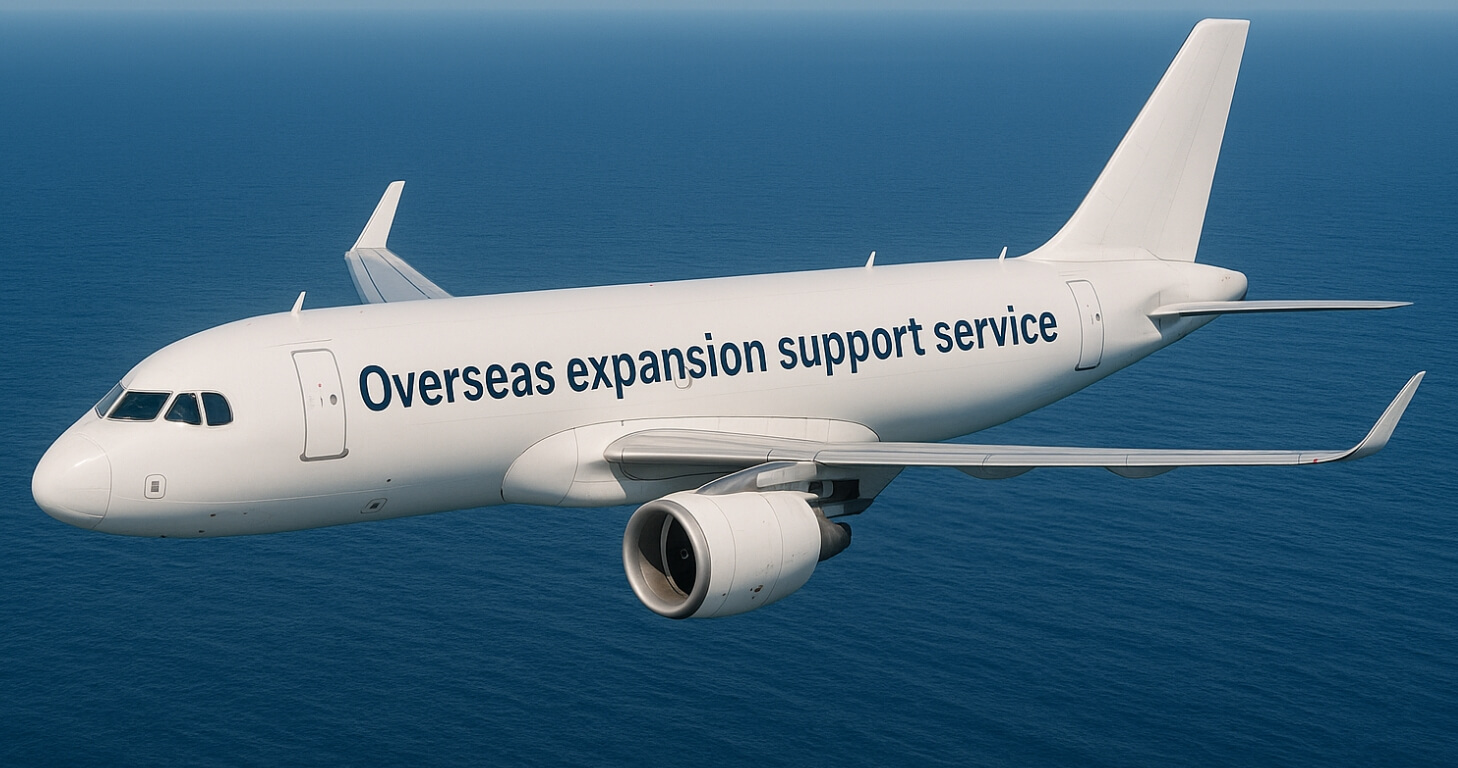 海外進出支援画像